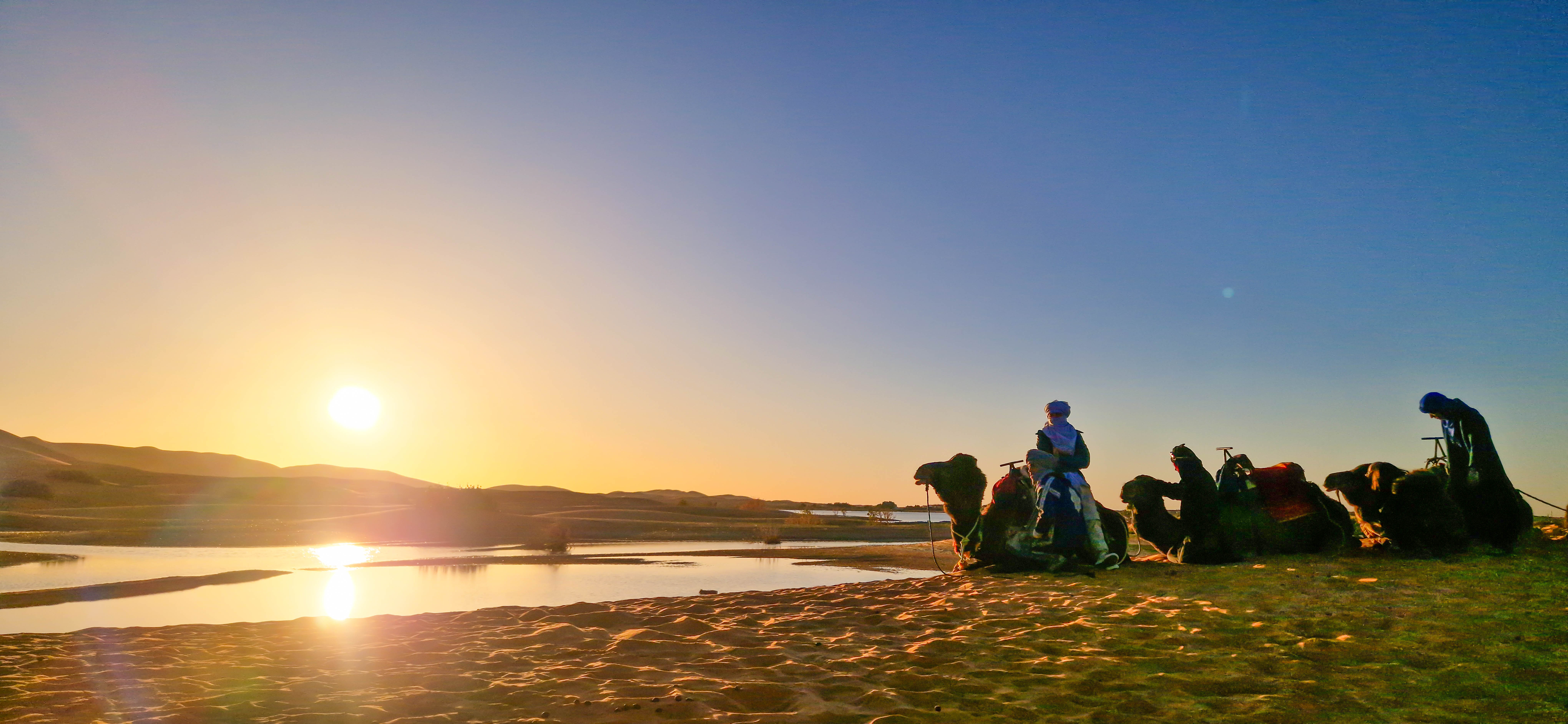 Voyageurs et dromadaires près des dunes