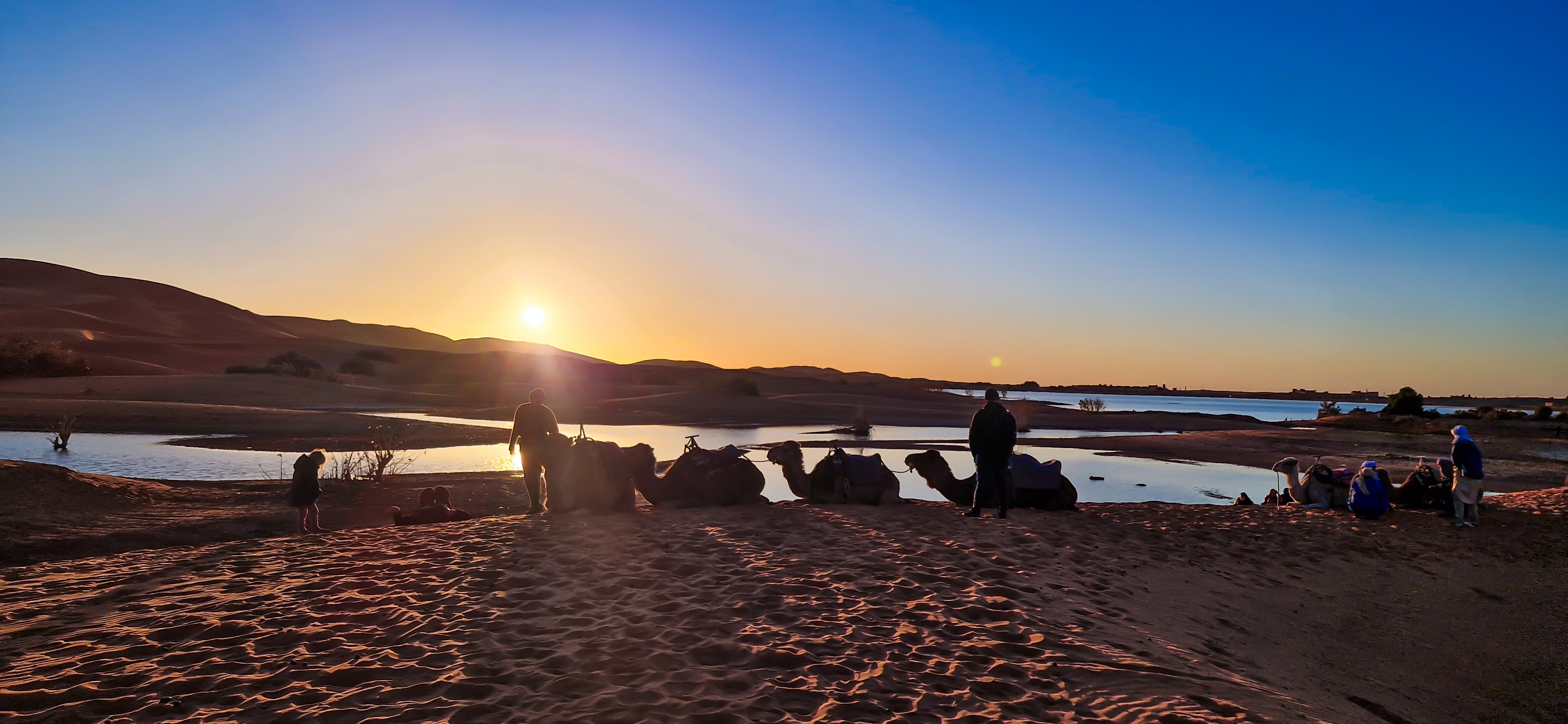 Dromadaires et coucher de soleil sur Merzouga
